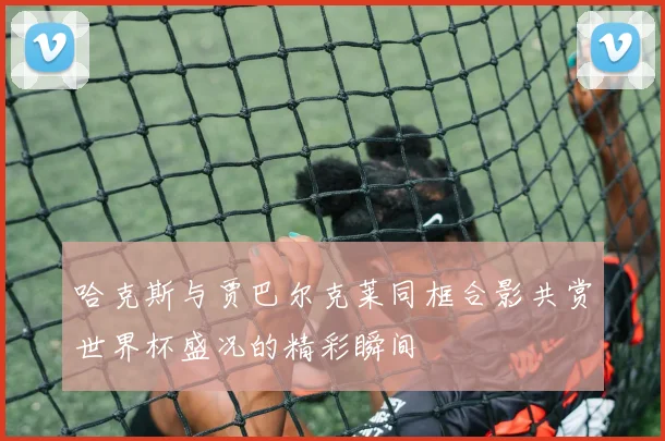 哈克斯与贾巴尔克莱同框合影共赏世界杯盛况的精彩瞬间