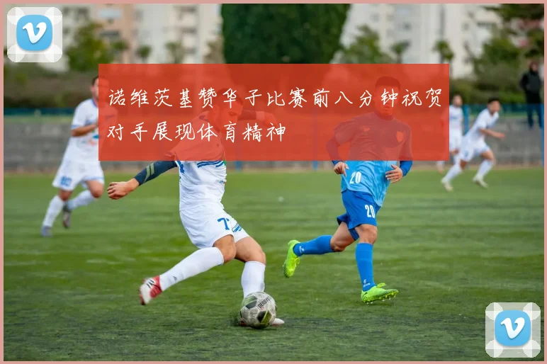诺维茨基赞华子比赛前八分钟祝贺对手展现体育精神